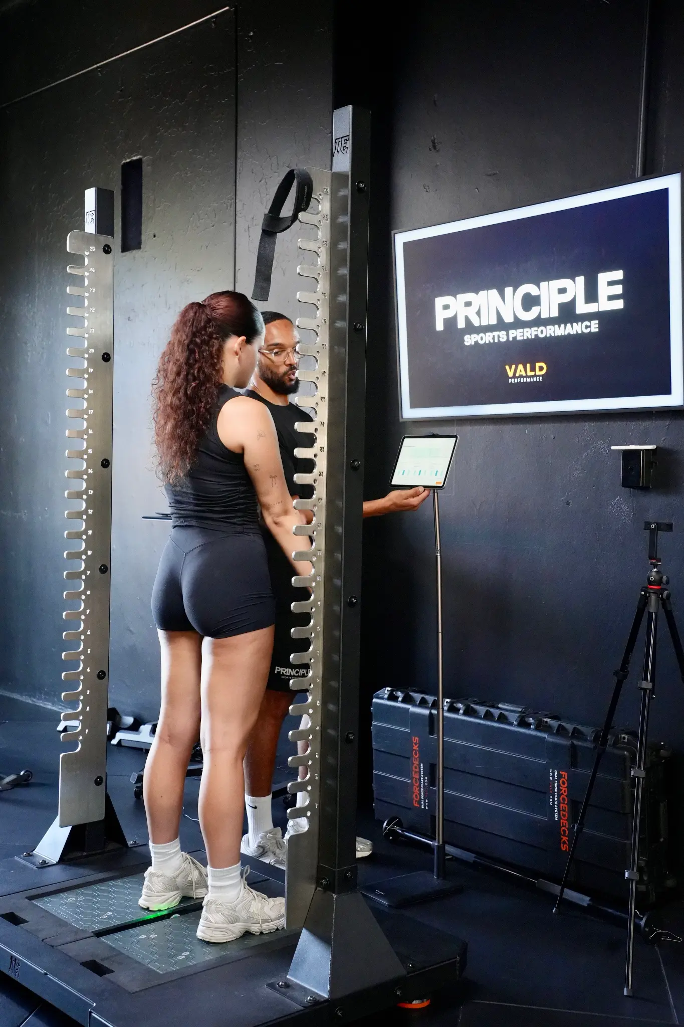 Principle Sports Performance | Bondi Junction, NSW